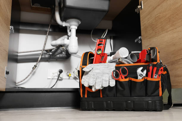 Best Clogged Drain Plumber  in Grand Point, LA